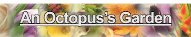 An Octopus's Garden logo